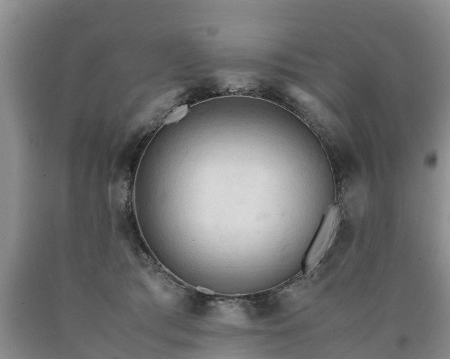 X0000090620417200707241134