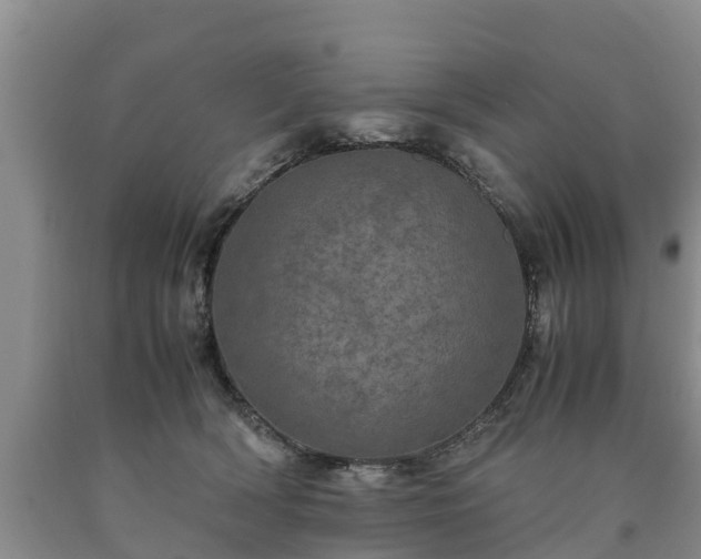 X0000090620418200707241134