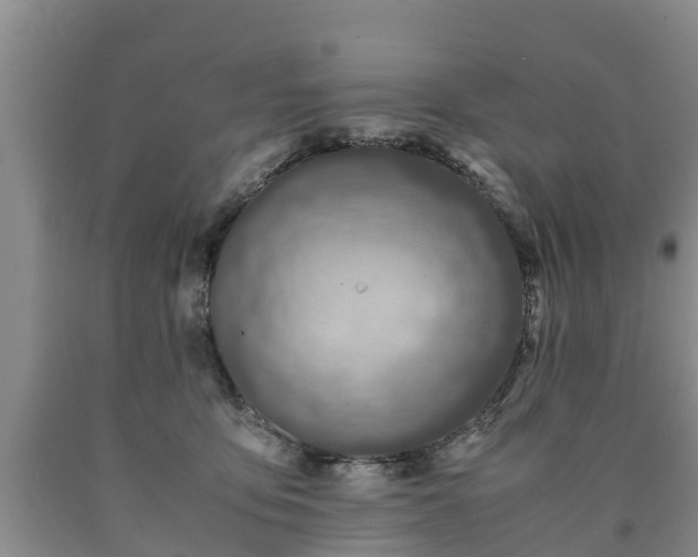 X0000090620419200707241134
