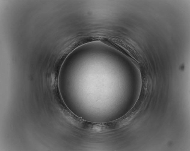 X0000090620420200707241134