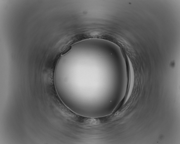 X0000090620421200707241134