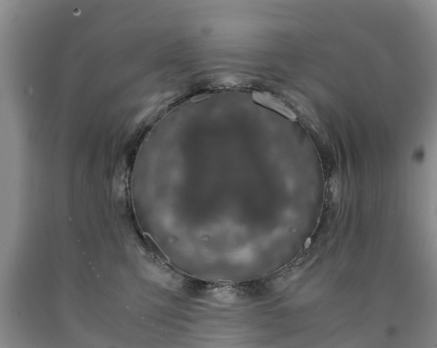 X0000090620423200707241134