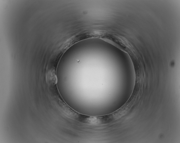 X0000090620425200707241133