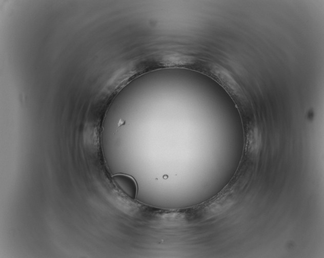 X0000090620426200707241133