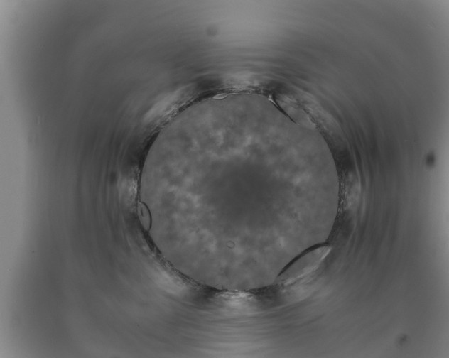X0000090620427200707241133