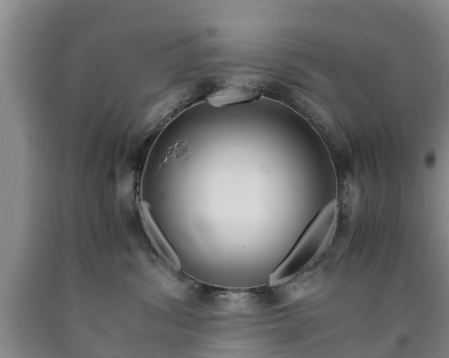 X0000090620428200707241133