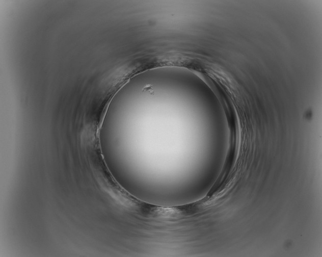 X0000090620429200707241133