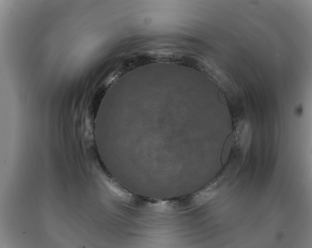 X0000090620430200707241133