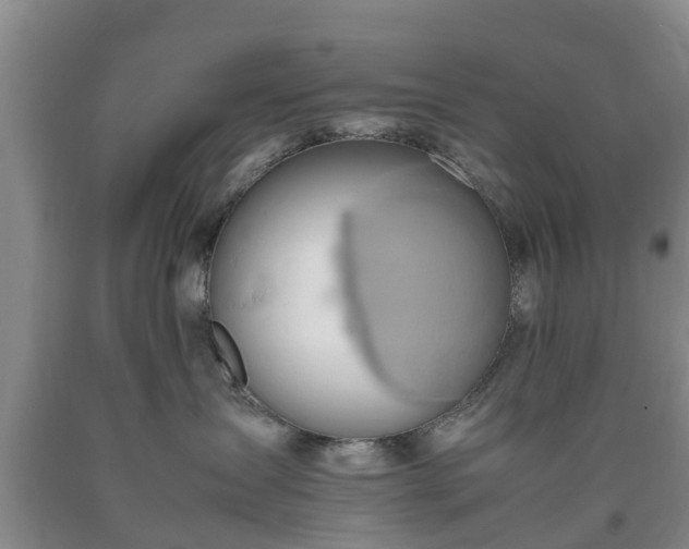 X0000090620431200707241133
