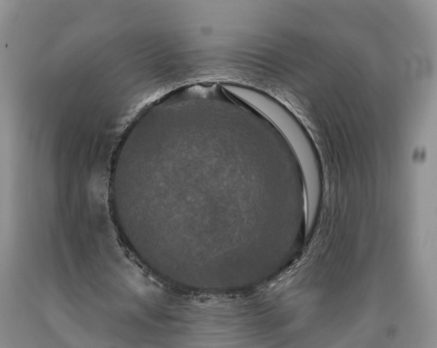 X0000090620434200707241133