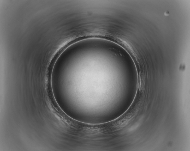X0000090620435200707241133