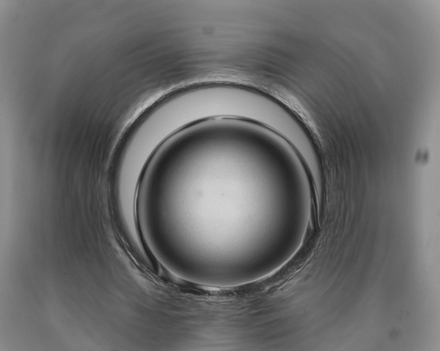 X0000090620436200707241133
