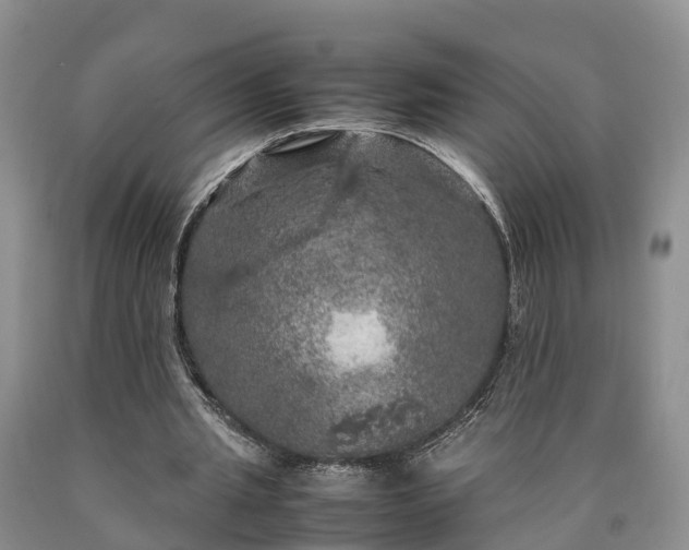 X0000090620437200707241133