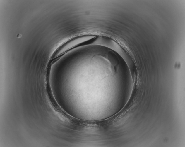 X0000090620438200707241133