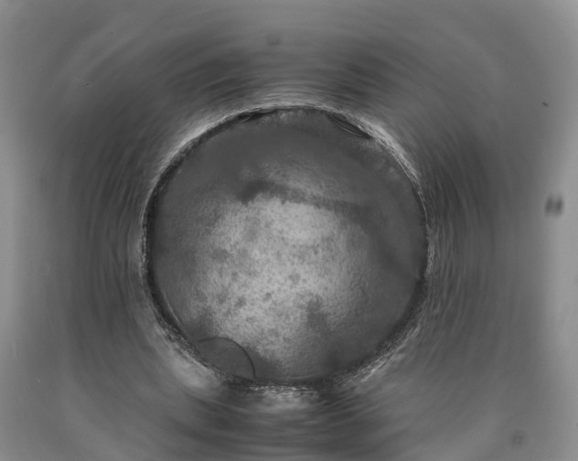 X0000090620439200707241133