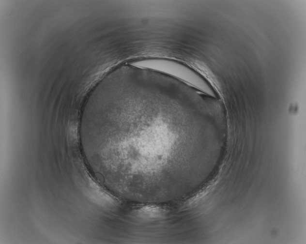 X0000090620441200707241133