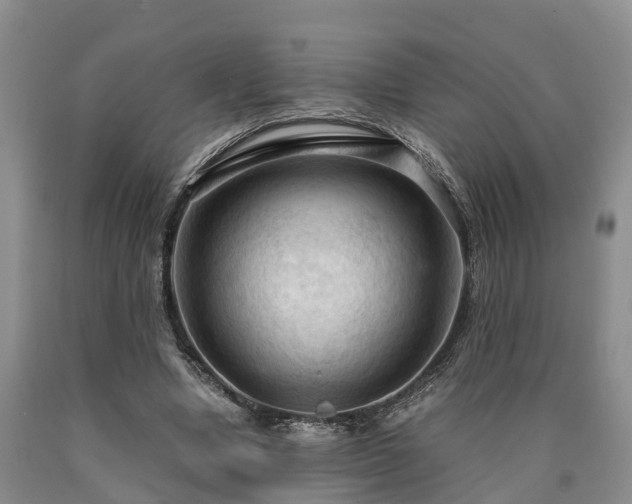 X0000090620442200707241133
