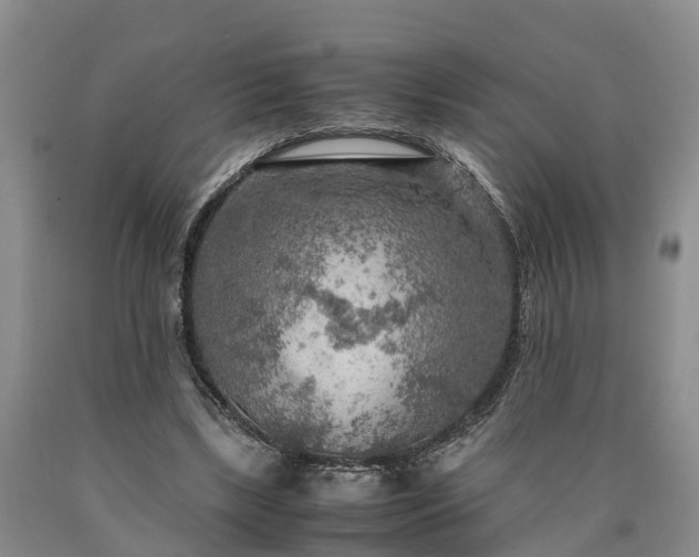 X0000090620443200707241133