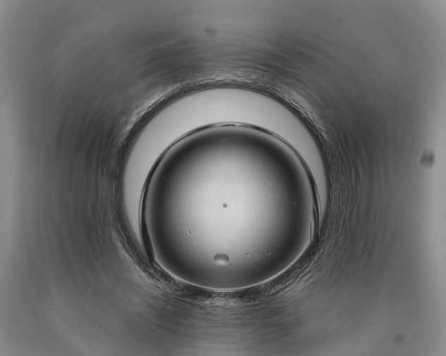 X0000090620444200707241133