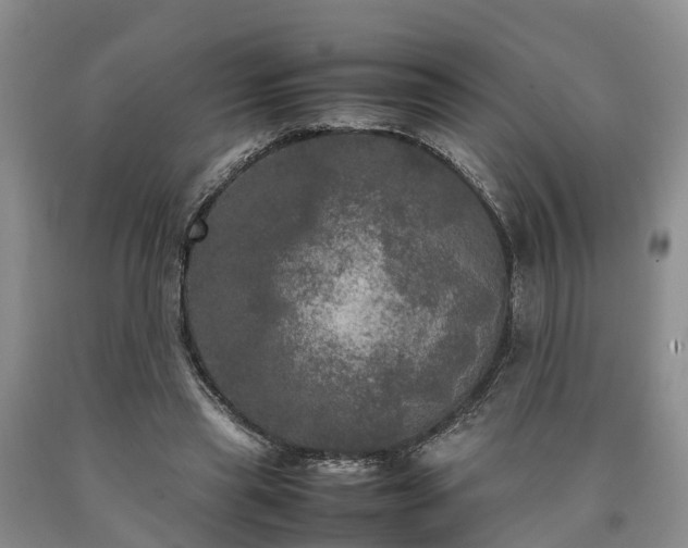 X0000090620445200707241133