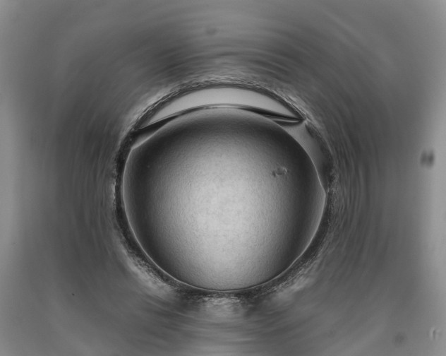 X0000090620446200707241133