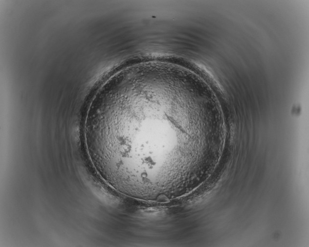 X0000090620447200707241133