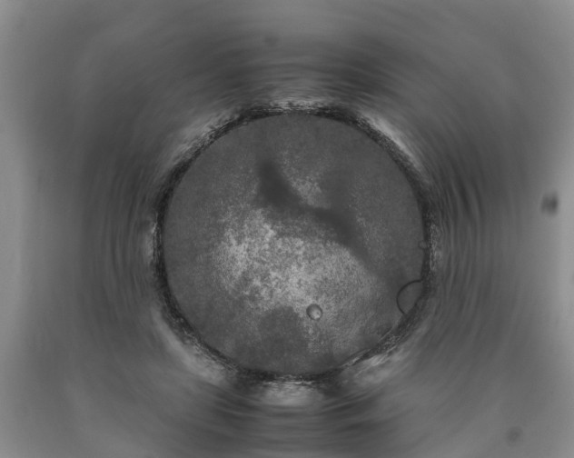 X0000090620451200707241133
