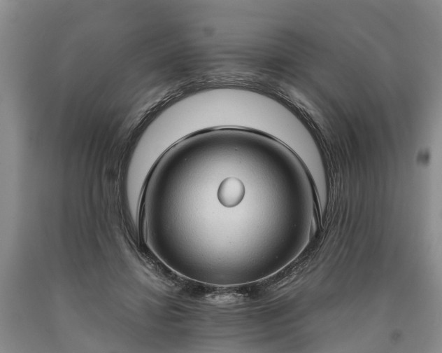 X0000090620452200707241133