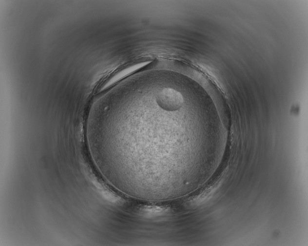 X0000090620453200707241133
