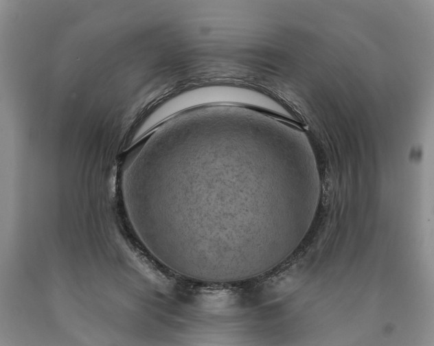X0000090620454200707241133