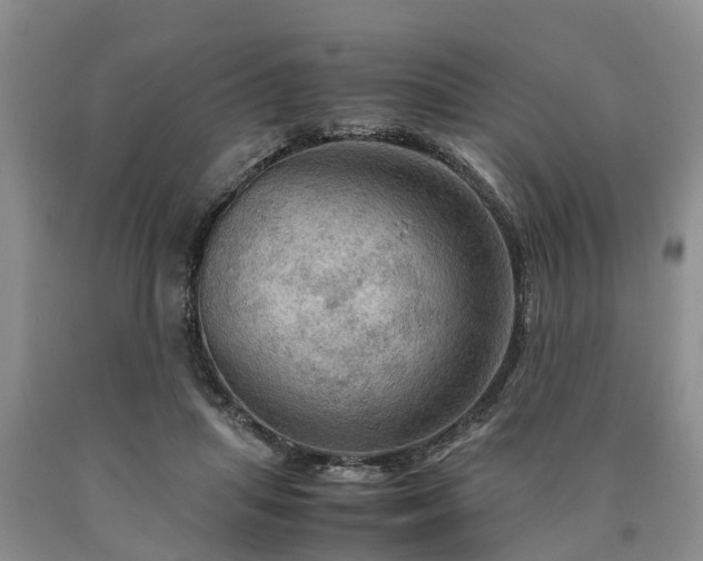 X0000090620455200707241133
