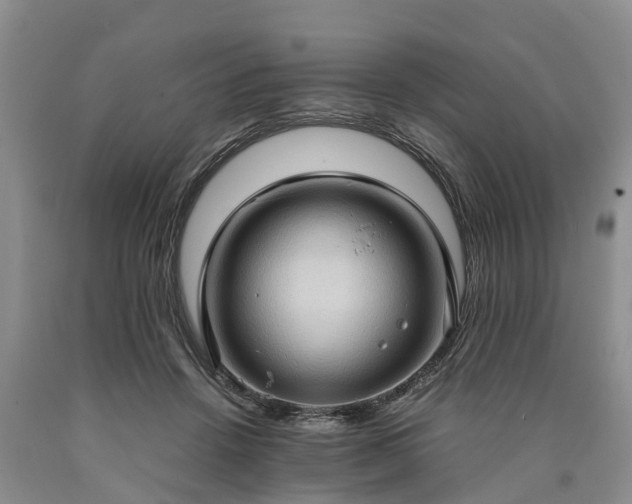 X0000090620456200707241133