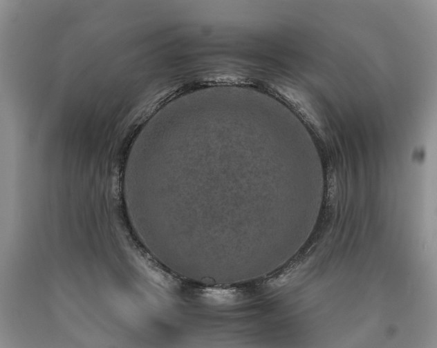 X0000090620457200707241133