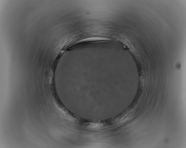 X0000090620458200707241133