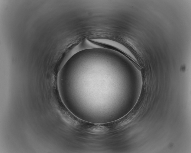 X0000090620459200707241133