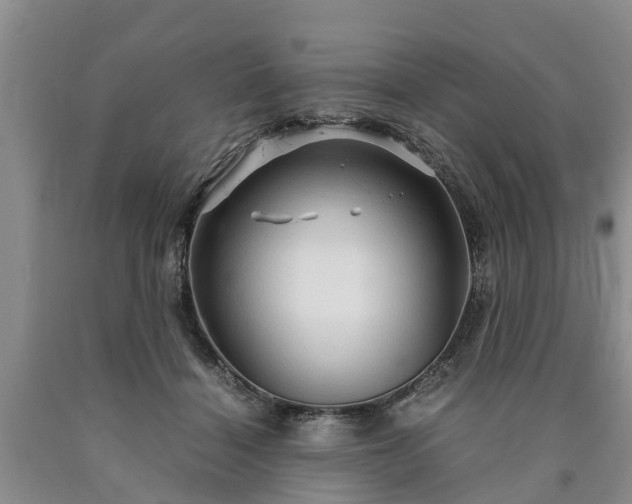 X0000090620460200707241133