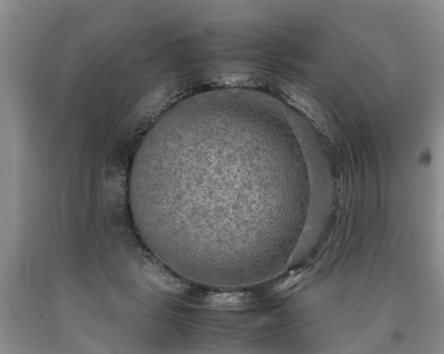 X0000090620461200707241133