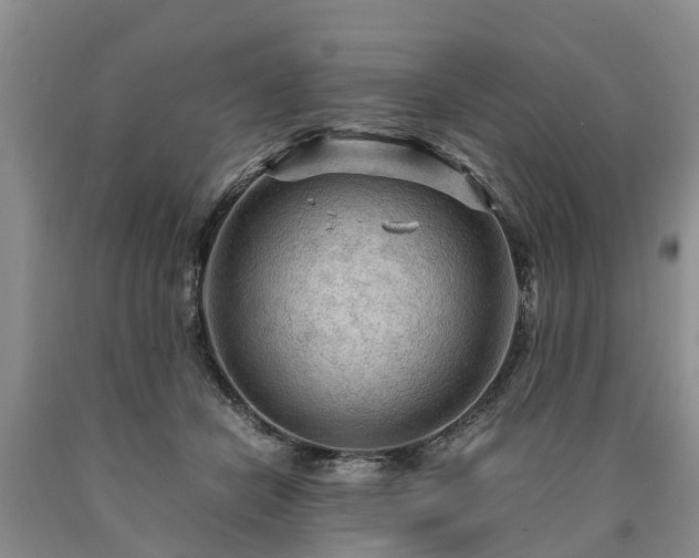 X0000090620462200707241133