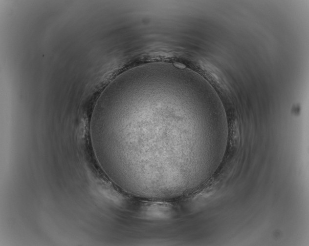 X0000090620463200707241133