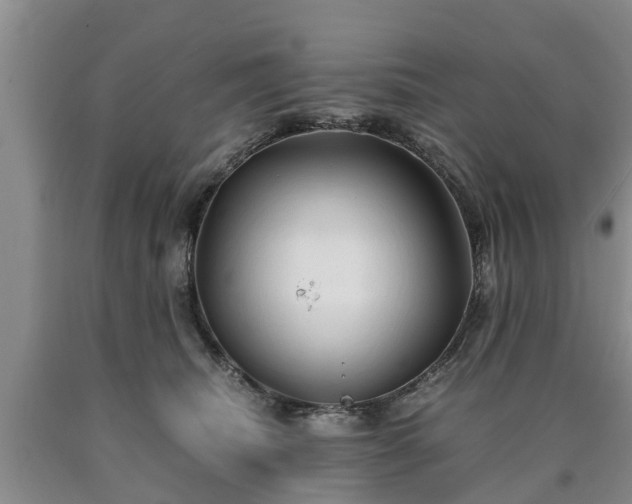 X0000090620468200707241133