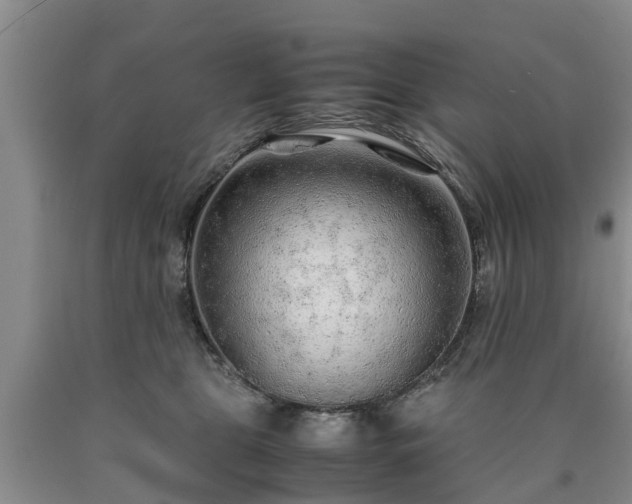 X0000090620469200707241133
