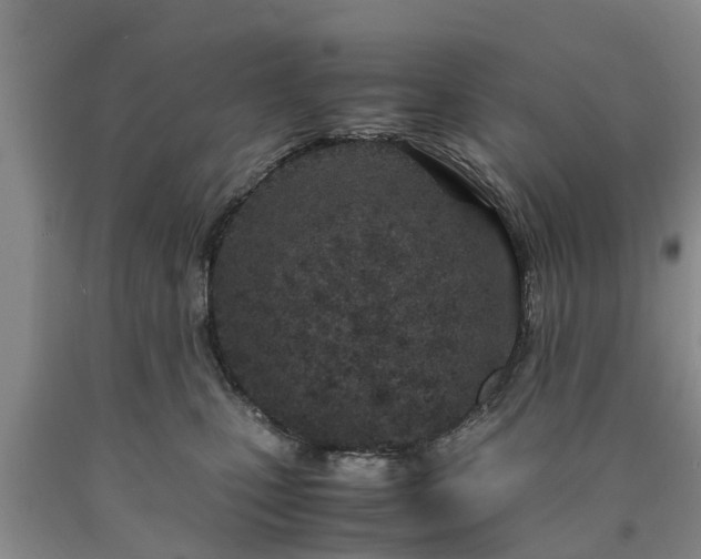 X0000090620471200707241133