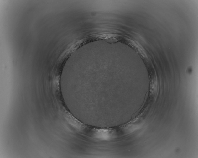 X0000090620473200707241133