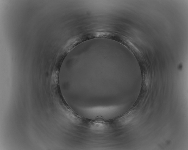 X0000090620475200707241133