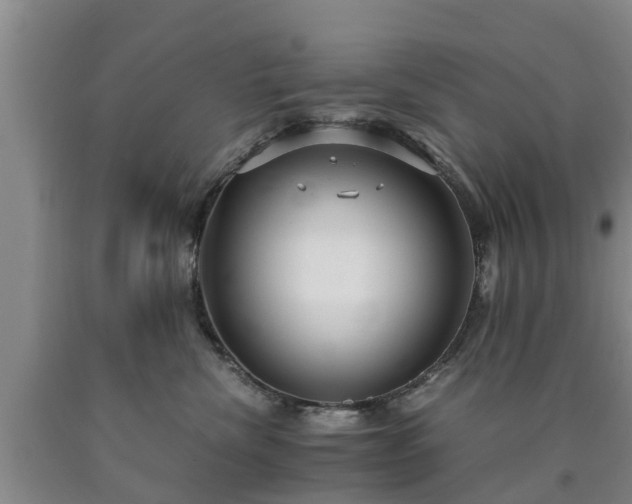 X0000090620476200707241133