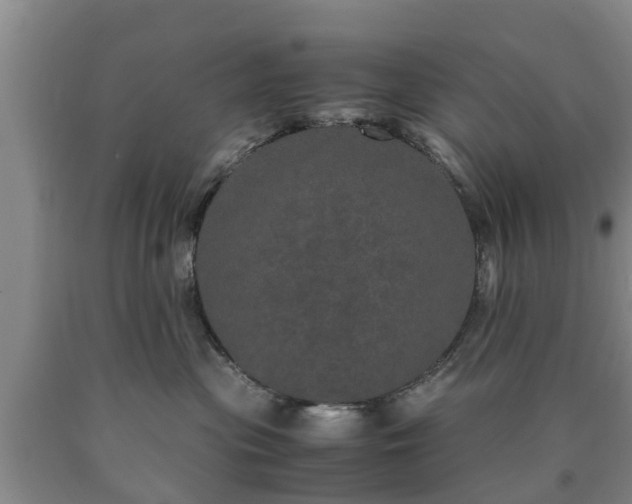 X0000090620477200707241133