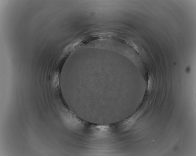 X0000090620478200707241133