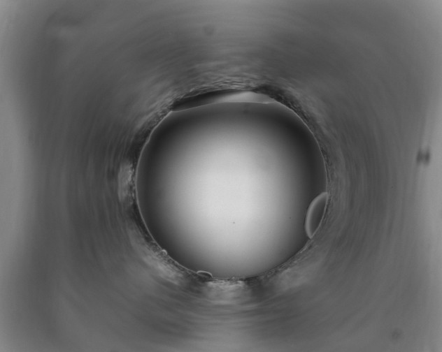 X0000090620480200707241133