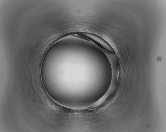 X0000090620481200707241133