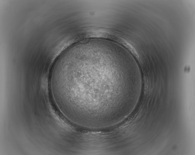 X0000090620482200707241133
